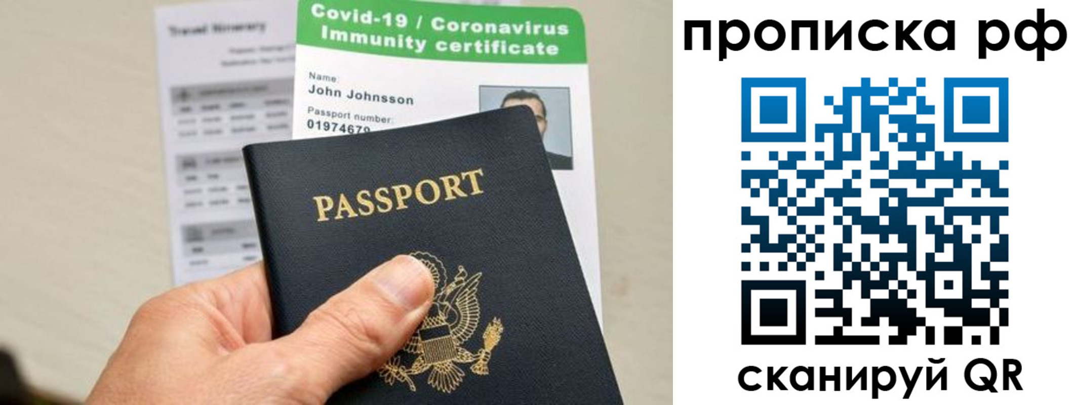 прописка в Кольчугино